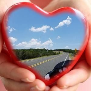 Meet your Posher, Kimber